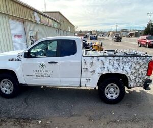best pest control service albuquerque new mexico 2