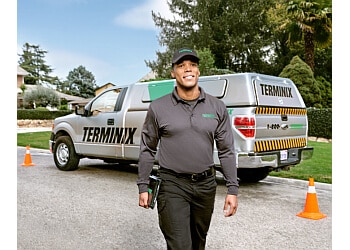 Best Pest Control Service Arlington Texas