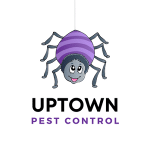 Best Pest Control Service Aurora Colorado 14 best pest control service aurora colorado 2