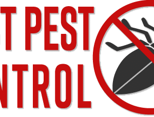best pest control service baltimore maryland 2