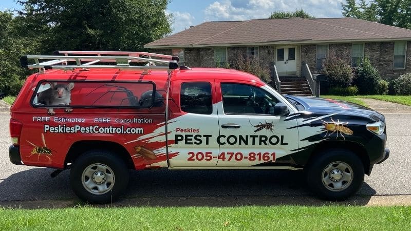 Best Pest Control Service Birmingham Alabama