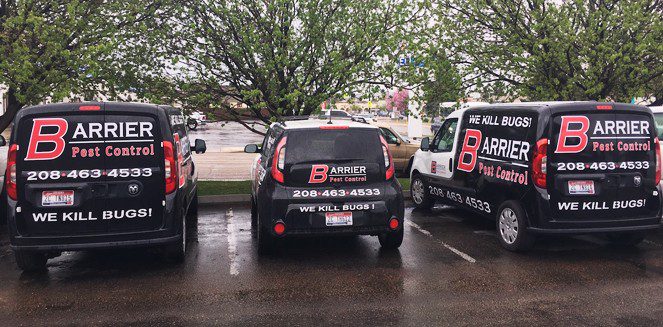 Best Pest Control Service Boise City Idaho