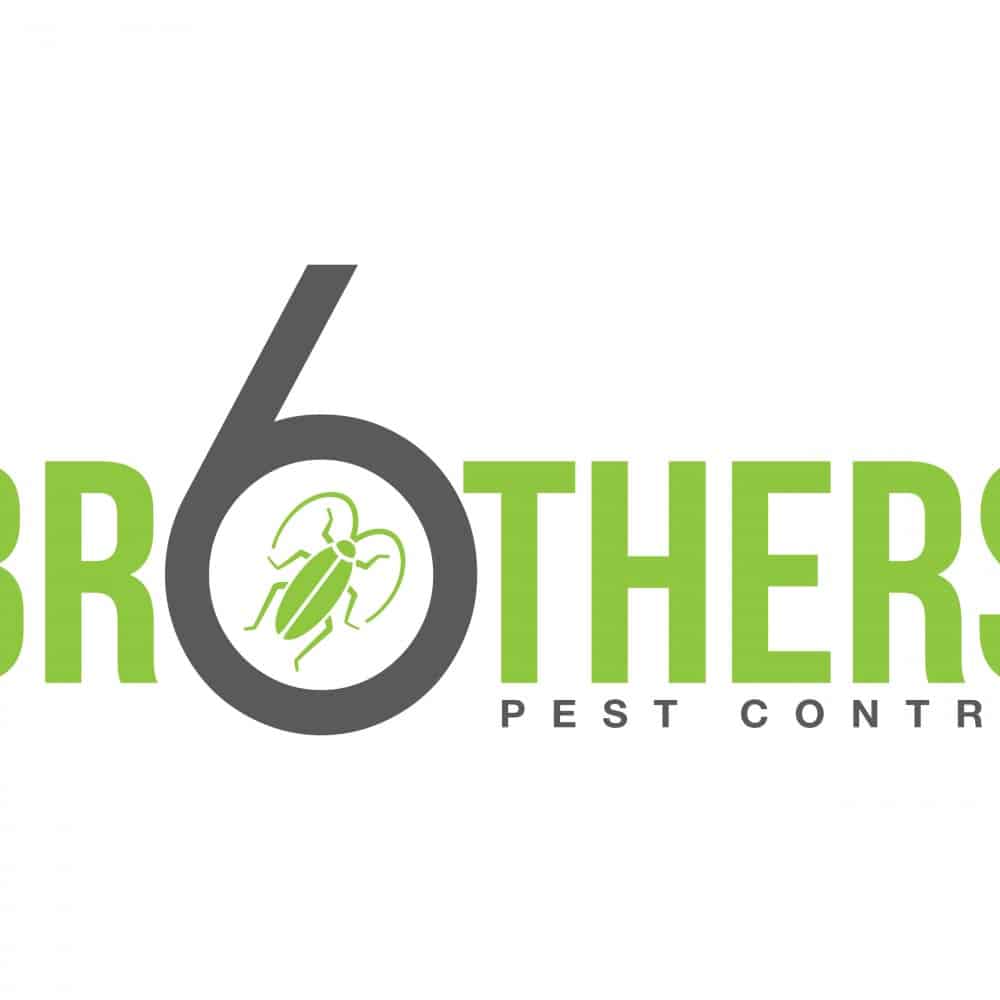 Best Pest Control Service Boise City Idaho