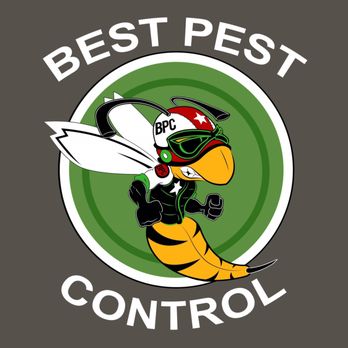 Best Pest Control Service Boise City Idaho