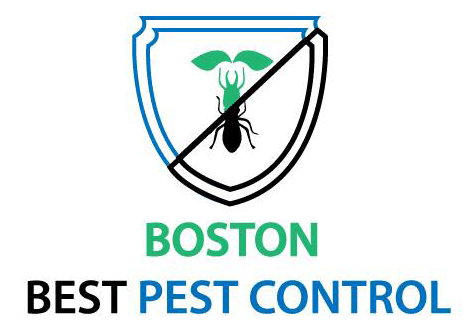 Best Pest Control Service Boston Massachusetts