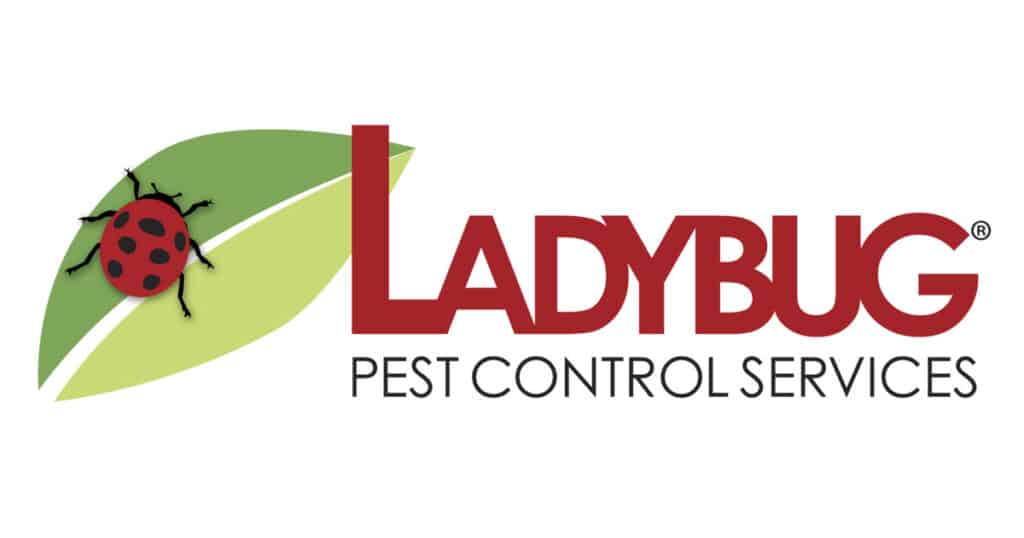 Best Pest Control Service Boston Massachusetts