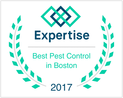 Best Pest Control Service Boston Massachusetts