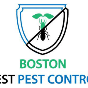 best pest control service boston massachusetts 3