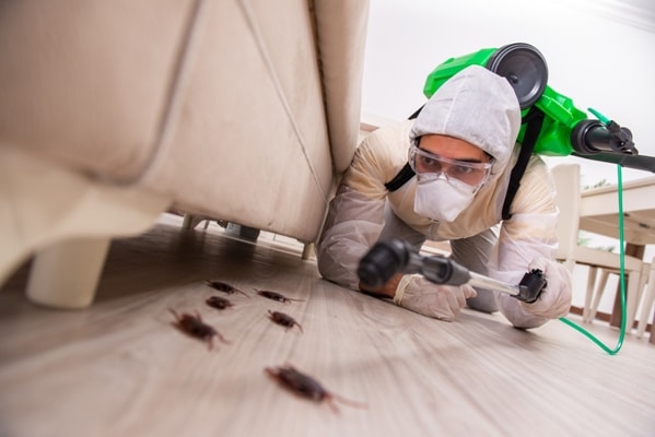 Best Pest Control Service Charlotte North Carolina