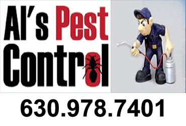Best Pest Control Service Chicago Illinois