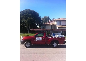 Best Pest Control Service Chula Vista California Best Pest Control Service Chula Vista California