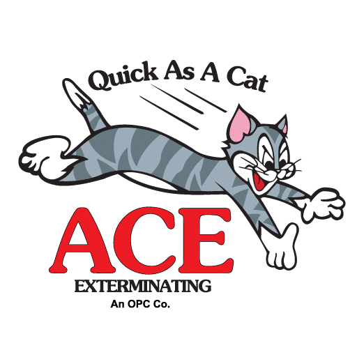 Best Pest Control Service Cincinnati Ohio