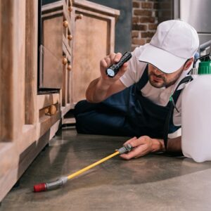 best pest control service colorado springs colorado