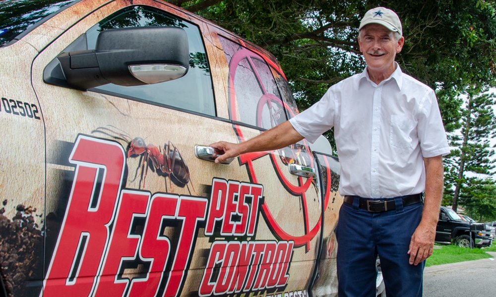 Best Pest Control Service Corpus Christi Texas Best Pest Control Service Corpus Christi Texas