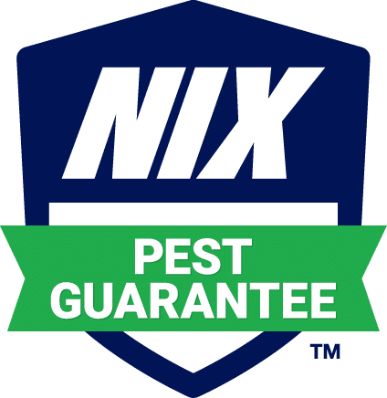 Best Pest Control Service Dallas Texas