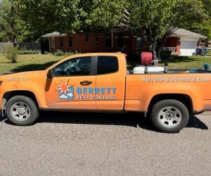 best pest control service denver colorado 2