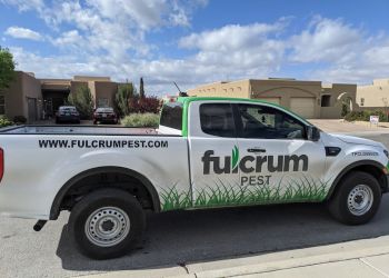 Best Pest Control Service El Paso Texas Best Pest Control Service El Paso Texas