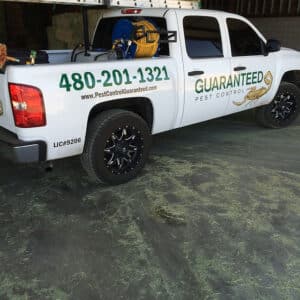 best pest control service gilbert arizona 3