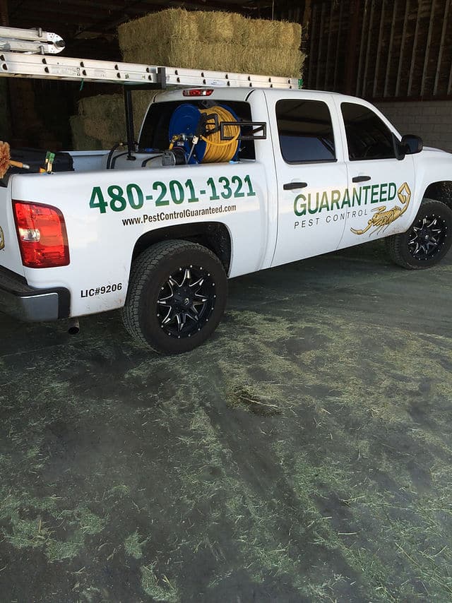 Best Pest Control Service Gilbert Arizona