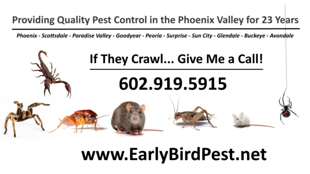 Best Pest Control Service Glendale Arizona