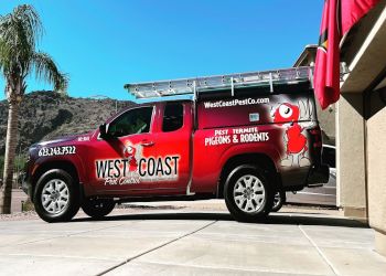 Best Pest Control Service Glendale Arizona