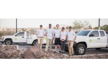 Best Pest Control Service Henderson Nevada