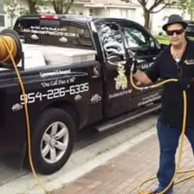 Best Pest Control Service Hialeah Florida