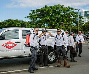 Best Pest Control Service Honolulu Hawaii 12 best pest control service honolulu hawaii 2