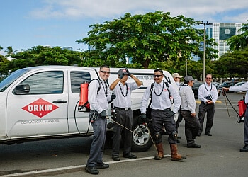 Best Pest Control Service Honolulu Hawaii Best Pest Control Service Honolulu Hawaii