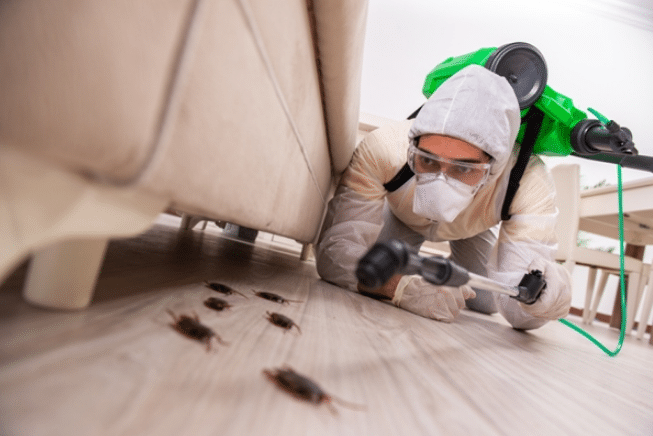 Best Pest Control Service Indianapolis Indiana