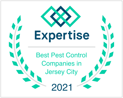 Best Pest Control Service Jersey City New Jersey Best Pest Control Service Jersey City New Jersey