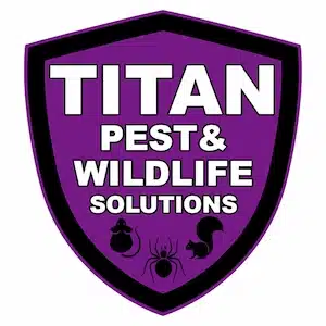 Best Pest Control Service Kansas City Missouri Best Pest Control Service Kansas City Missouri
