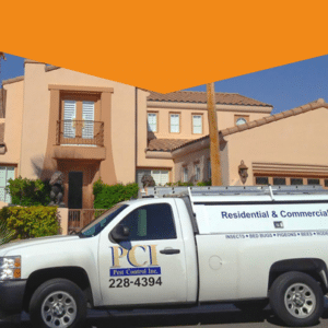 best pest control service las vegas nevada 3