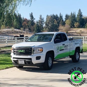 Best Pest Control Service Modesto California Best Pest Control Service Modesto California