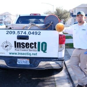 best pest control service modesto california 4