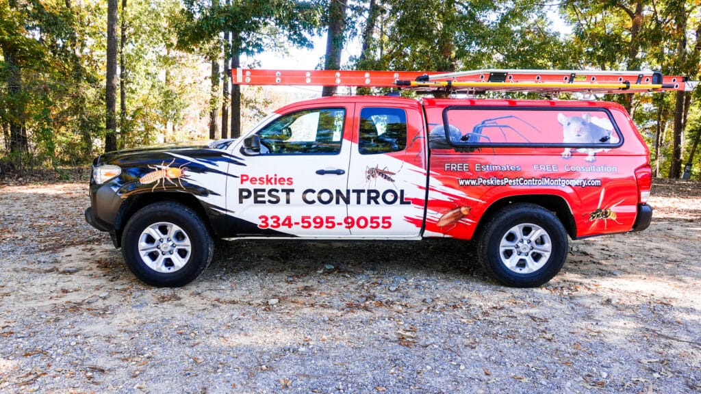 Best Pest Control Service Montgomery Alabama