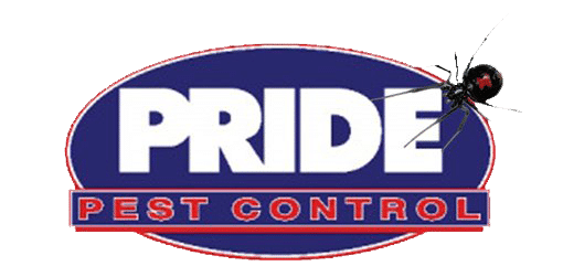 Best Pest Control Service New York New York Best Pest Control Service New York New York