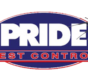 Best Pest Control Service New York New York 6 best pest control service new york new york 2