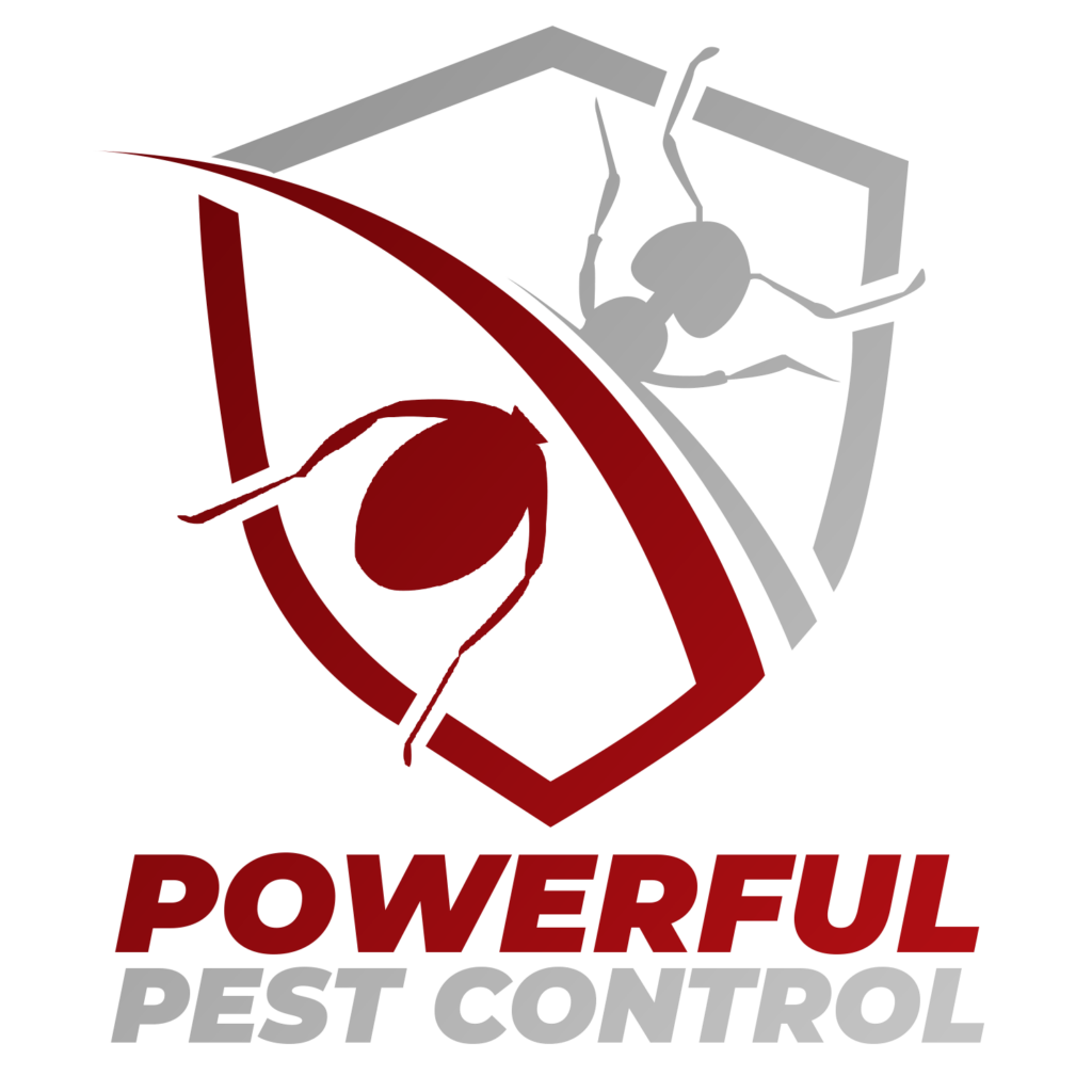 Best Pest Control Service Newark New Jersey