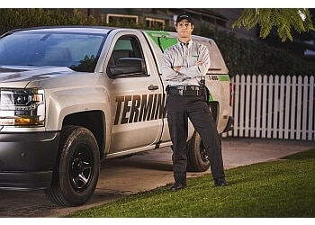 Best Pest Control Service Norfolk Virginia