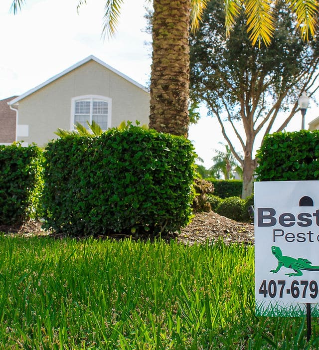Best Pest Control Service Orlando Florida Best Pest Control Service Orlando Florida