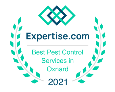 Best Pest Control Service Oxnard California