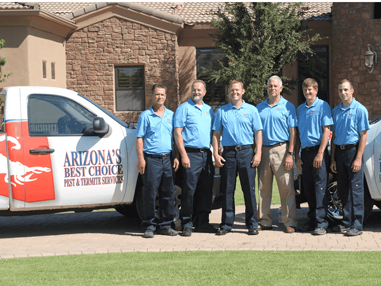 Best Pest Control Service Phoenix Arizona