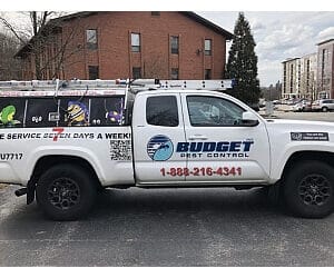 best pest control service pittsburgh pennsylvania 1