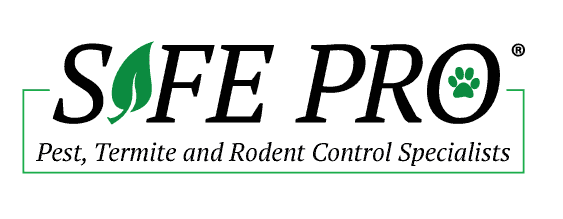 Best Pest Control Service Plano Texas