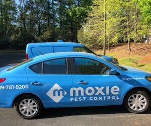 Best Pest Control Service Raleigh North Carolina 16 best pest control service raleigh north carolina 2