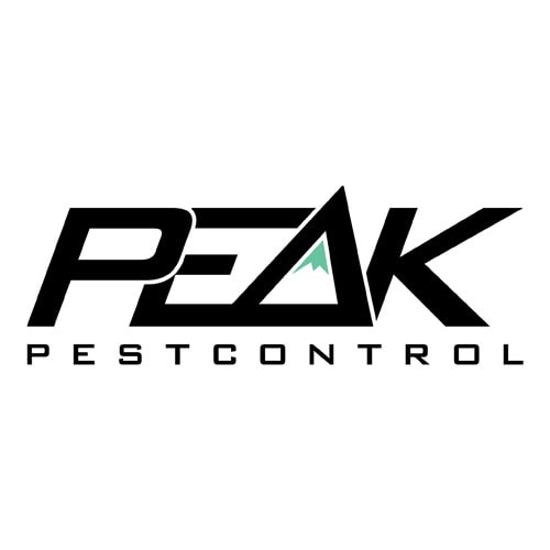 Best Pest Control Service Reno Nevada Best Pest Control Service Reno Nevada