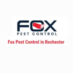 best pest control service rochester new york 1