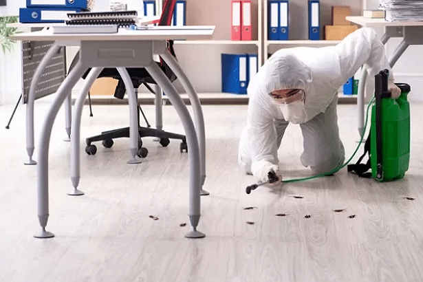 Best Pest Control Service San Antonio Texas