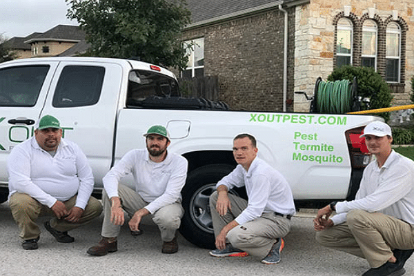 Best Pest Control Service San Antonio Texas